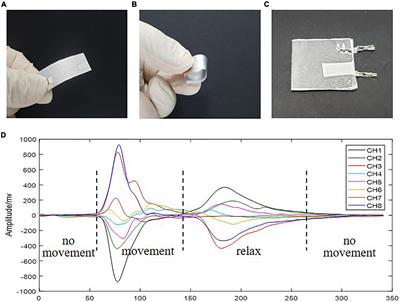 A Novel Motion Recognition Method Based on Force Myography of Dynamic Muscle Contractions